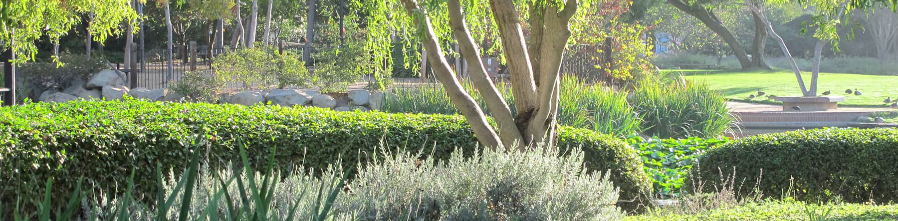 Alice Keck Park Memorial Garden