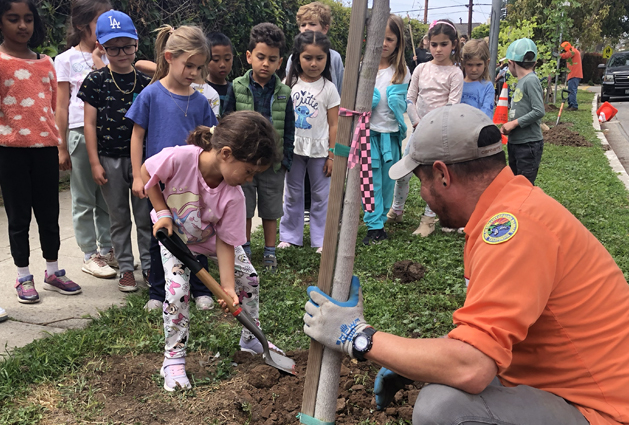 How You Can Help - Tree Plantings