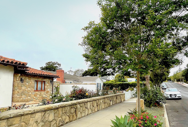 3 Tree Programs – Street Trees