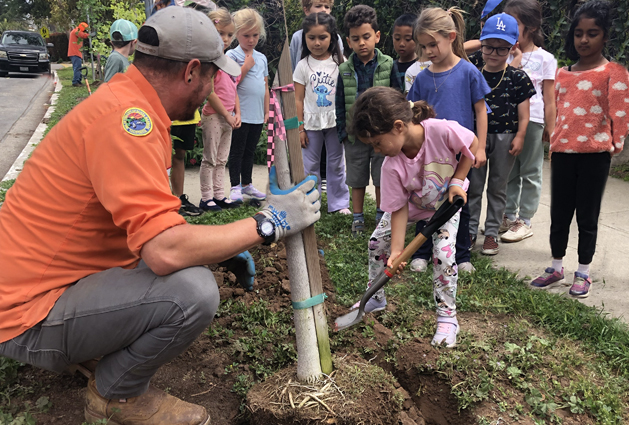 4 Tree Programs - Arbor Day