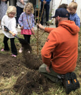 Tree Planters