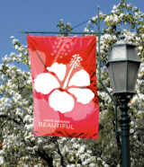 PHOTOSBYPRISCILLA@2009*8059693301